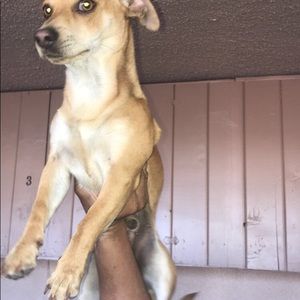 Meet your Posher, Argai